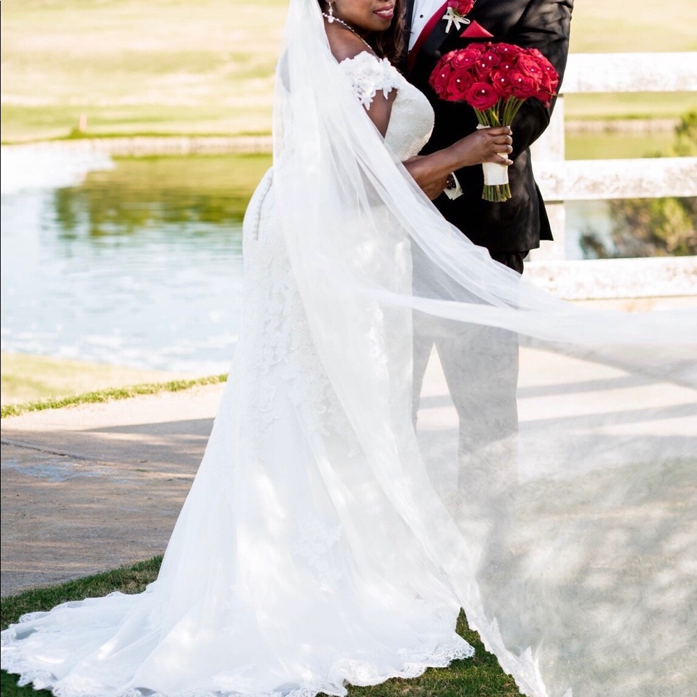 Stunning, dropwaist, eggshell-white wedding gown and veil!